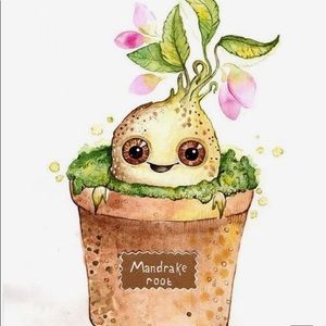 Meet your Posher, Mia